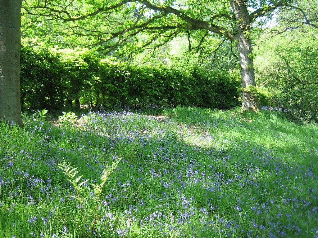 Levisham High Dalby House & Cottages מראה חיצוני תמונה